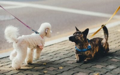Kako ostaviti dobar prvi dojam? Neverbalna komunikacija je ključ!